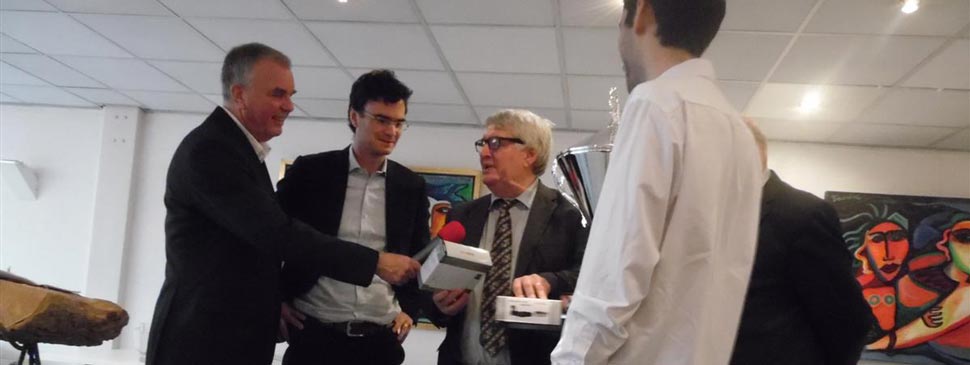 De ruiter en de paarden